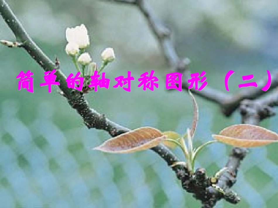 72简单的轴对称图形4_第1页