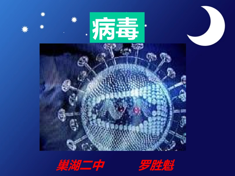 《病毒》课件_第1页