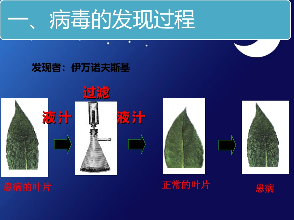 《病毒》课件_第2页