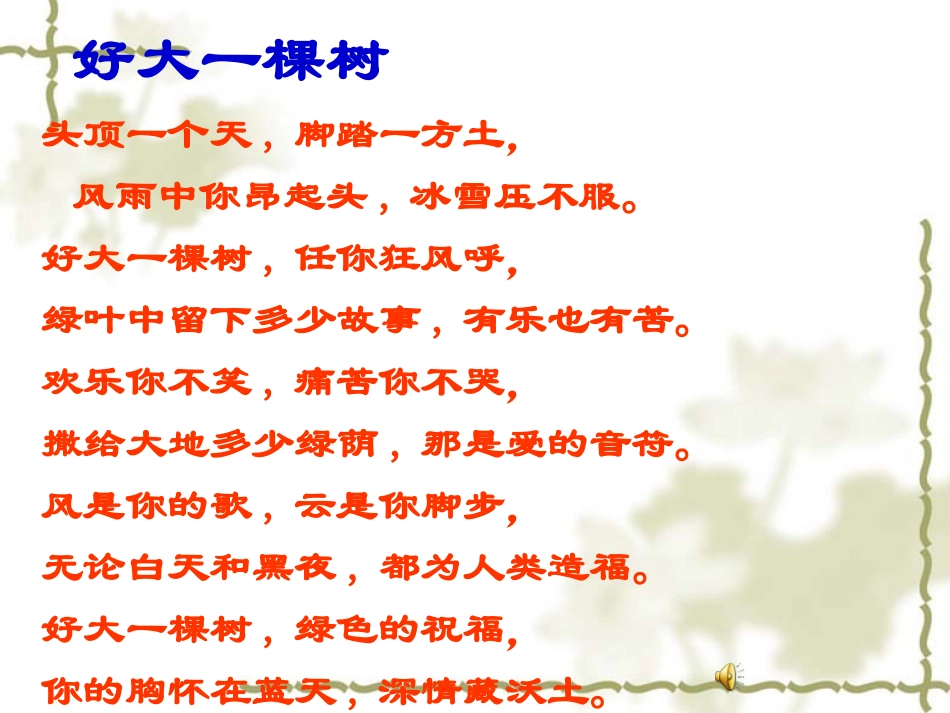 《那树》课件_第1页