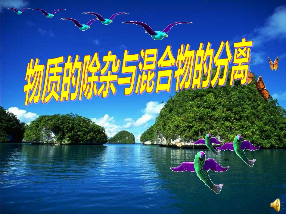 除杂课件新09-3_第1页