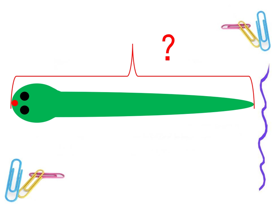 利用身边的材料来测量_第2页