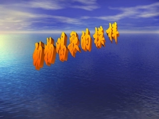 动物唱歌的模样