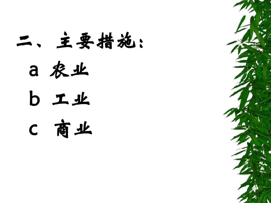 《对社会主义道路的探索》课件3_第3页