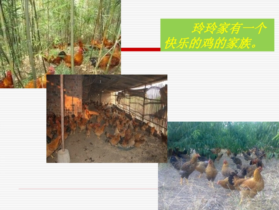 年级认识禽流感课件_第2页