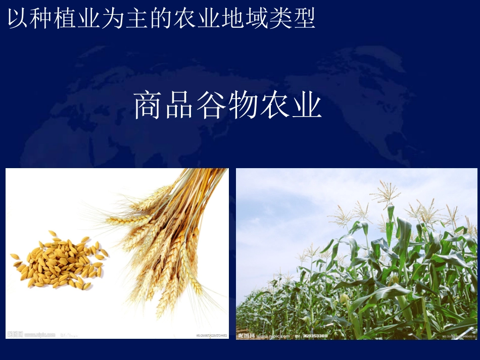 商品谷物农业_第1页