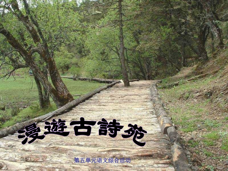 综合性学习《古诗苑漫步》课件_第1页