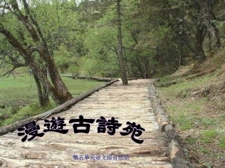 综合性学习《古诗苑漫步》课件