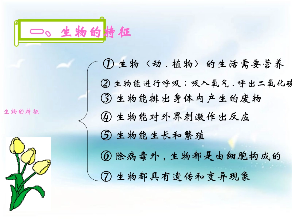 《生物和生物圈》单元复习课件_第2页