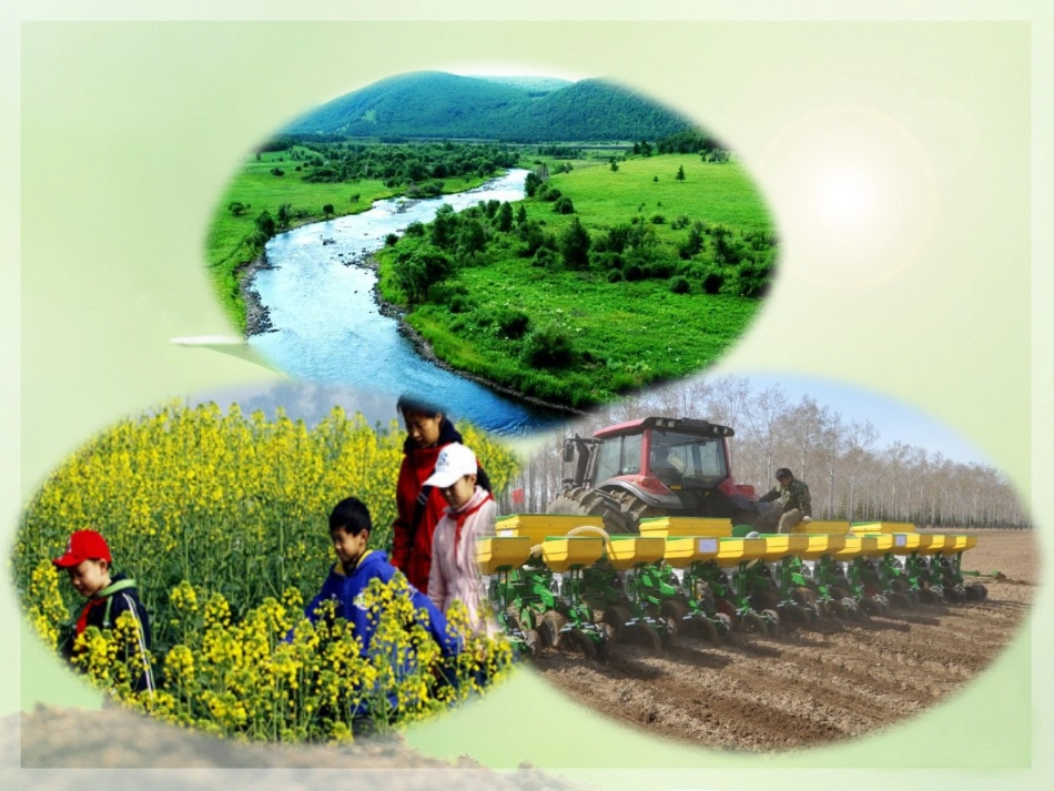 春天的畅想PPT(五稿)_第3页