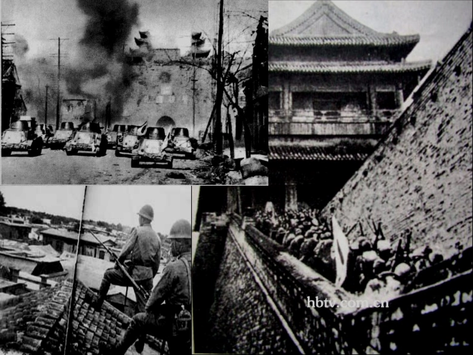 《生物入侵者》参考课件6_第2页