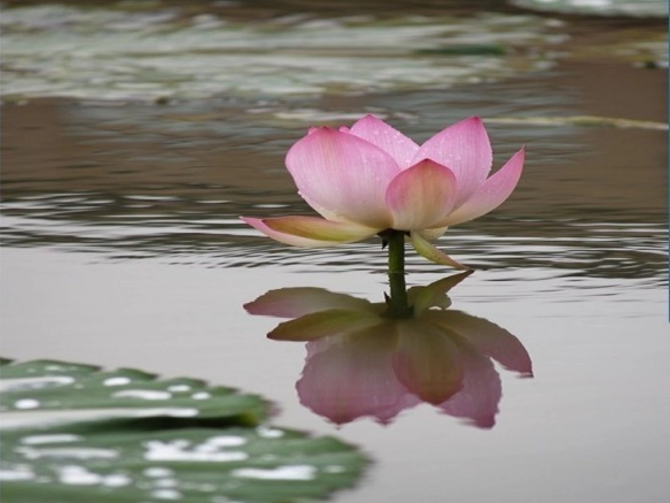 五年级数学册倒数[_第3页