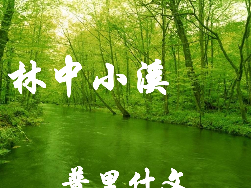【完美课件系列】林中小溪_第1页
