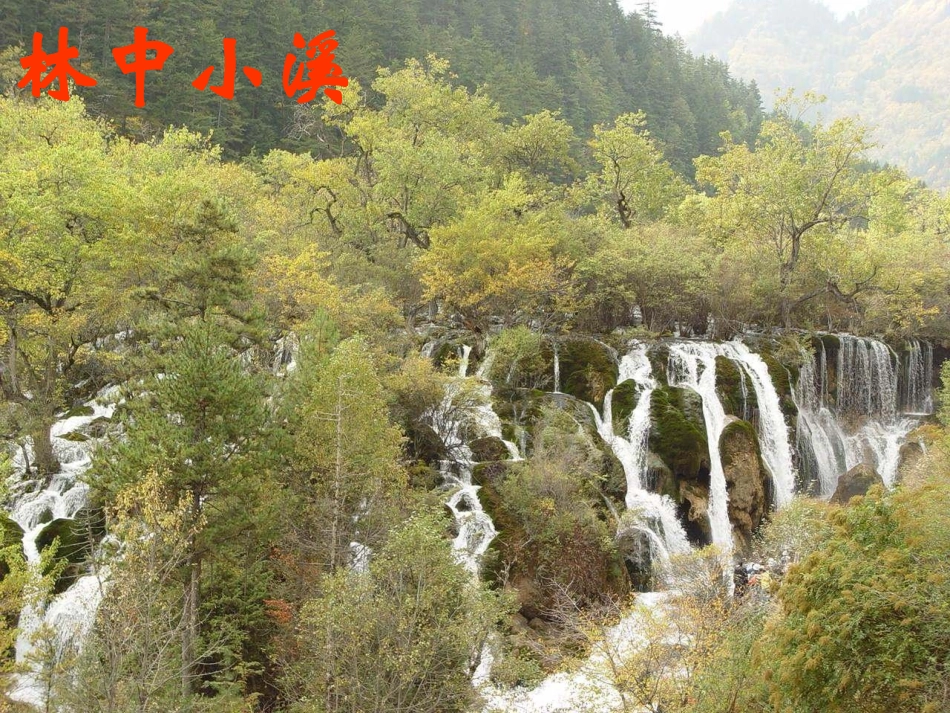 【完美课件系列】林中小溪_第2页