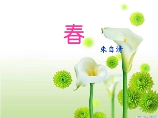 《春》修正版