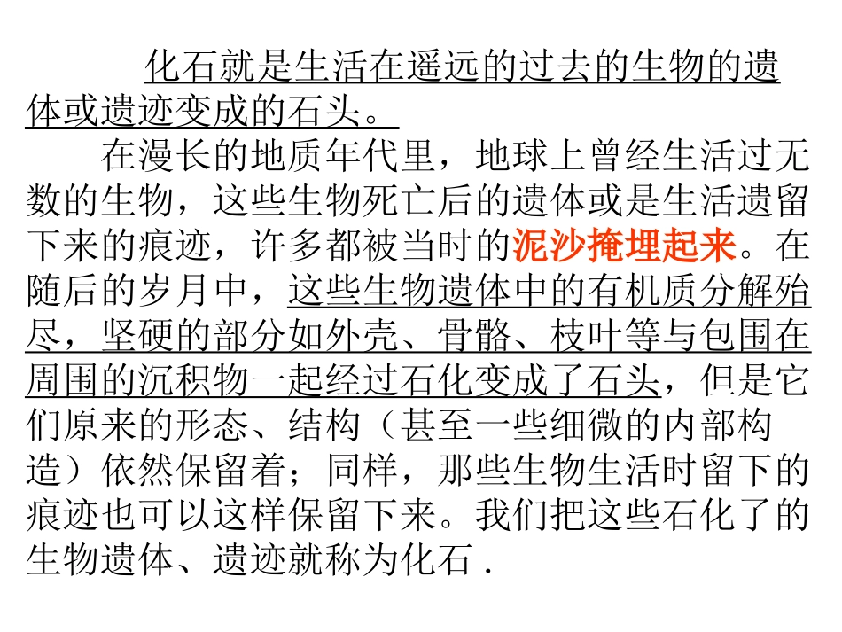 人教版小学语文二年级上册《活化石》PPT课件_第2页