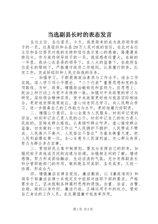 当选副县长时的表态发言稿