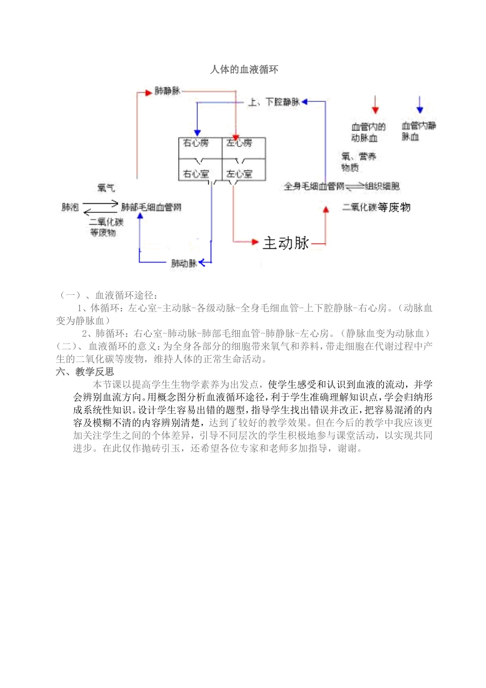 血液循环教学设计_第3页