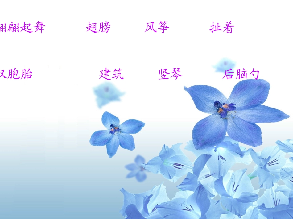 理想的翅膀 (2)_第3页