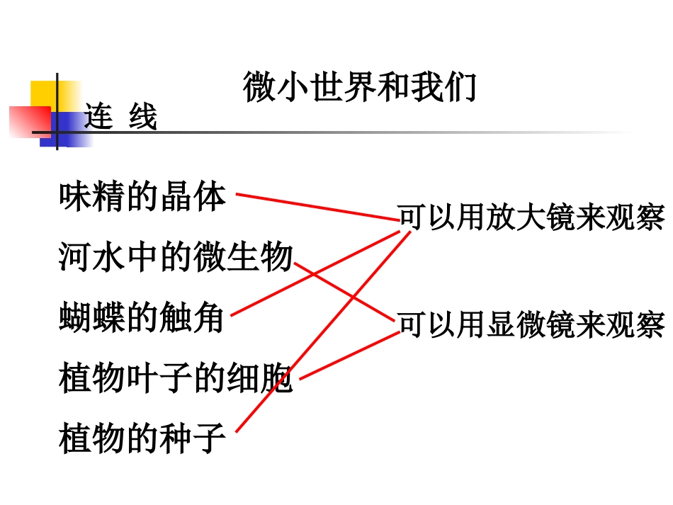 教科版小学科学六年级下册第一单元《微小世界和我们》课件_第1页