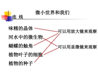 教科版小学科学六年级下册第一单元《微小世界和我们》课件
