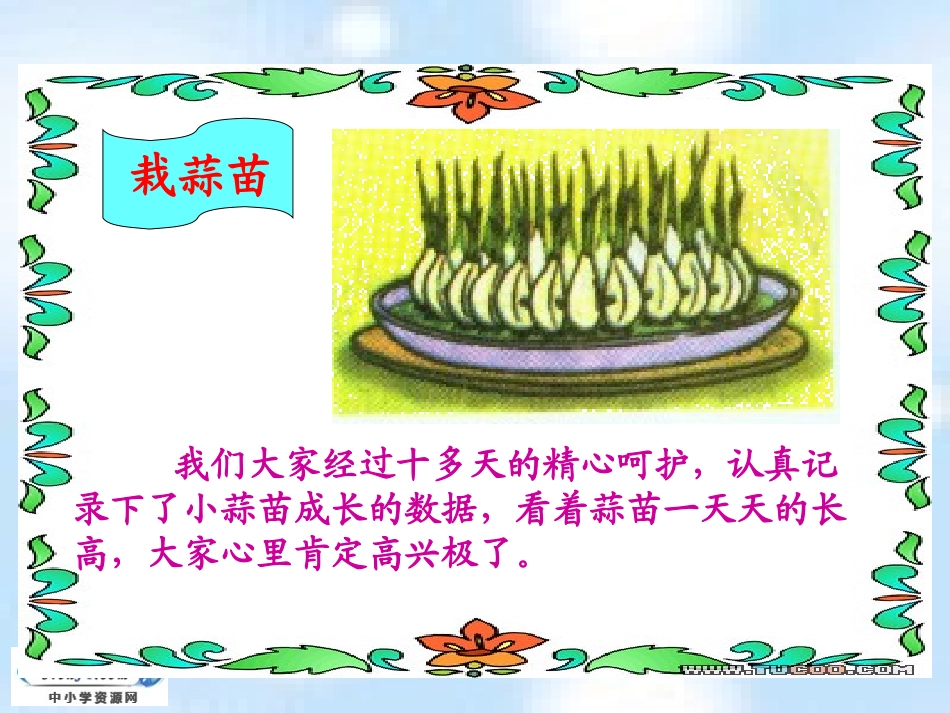 栽蒜苗（一）_第2页