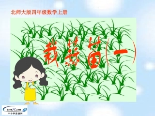 栽蒜苗（一）