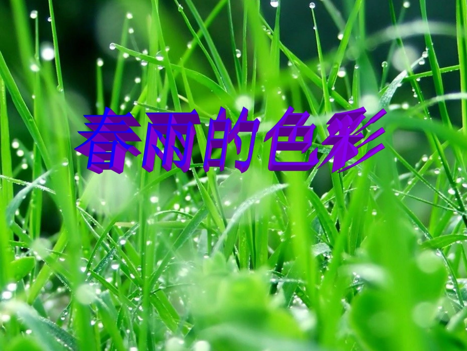 《春雨的色彩》课件_第1页