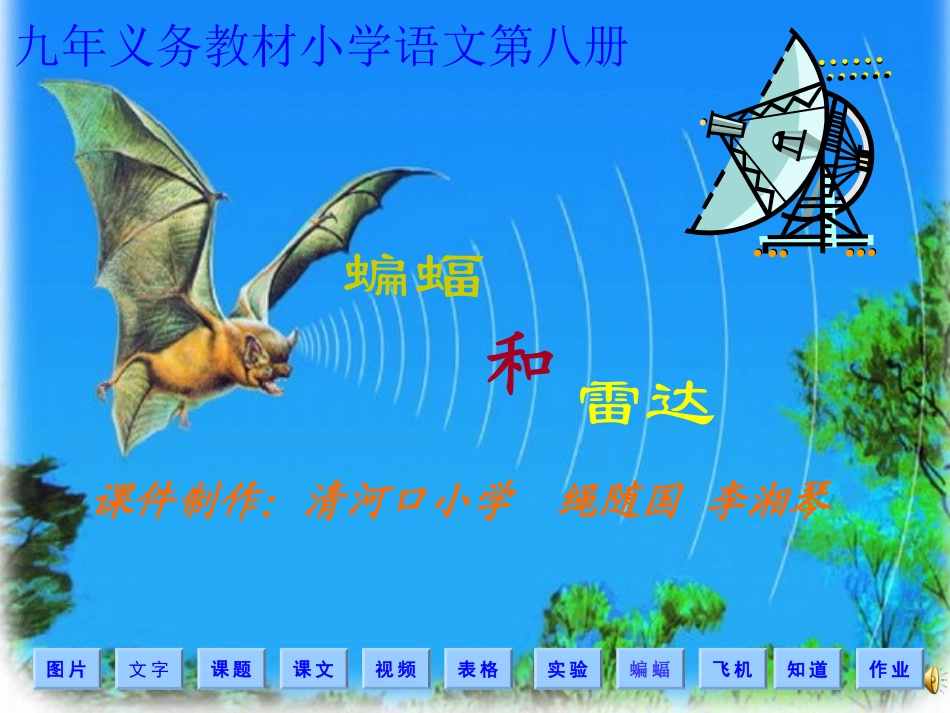 蝙蝠与雷达1_第1页