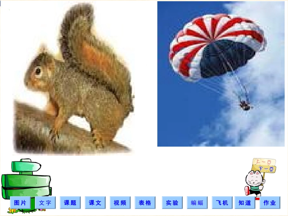 蝙蝠与雷达1_第2页