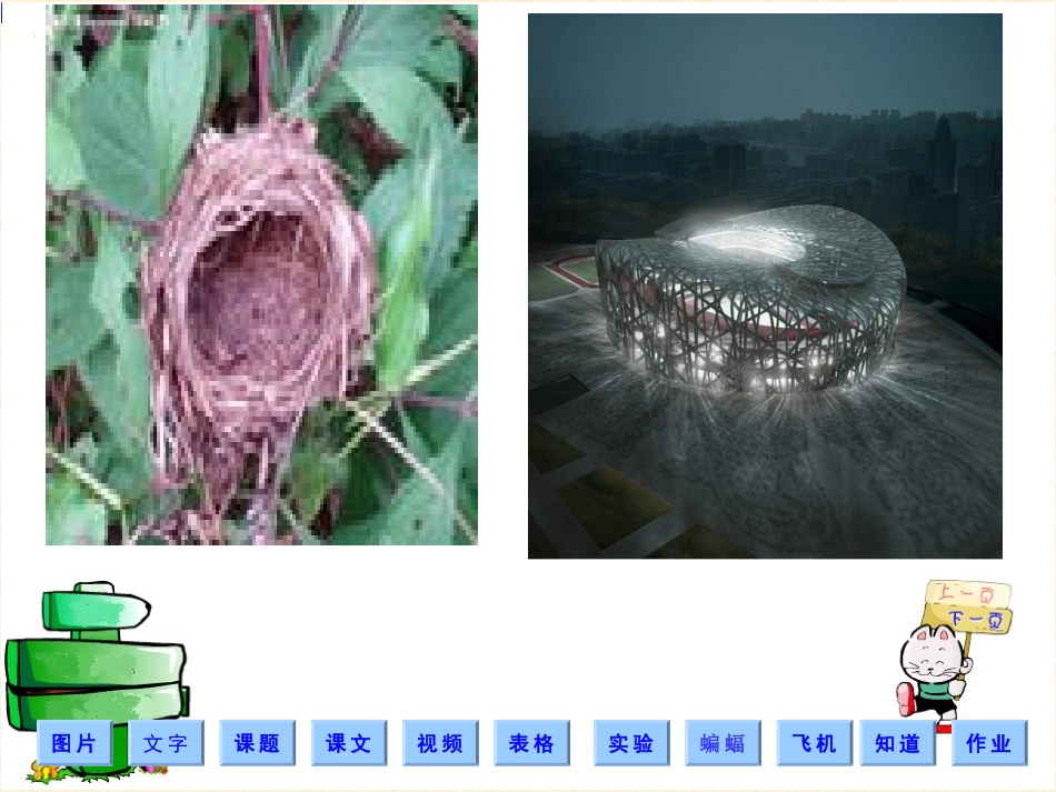 蝙蝠与雷达1_第3页