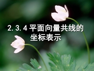 平面向量共线的坐标表示_课件4
