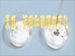 教科版小学科学六年级下册第二单元《米饭、淀粉和碘酒的变化》课件