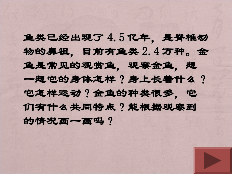 三年级科学金鱼_课件__第2页