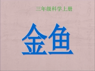 三年级科学金鱼_课件_