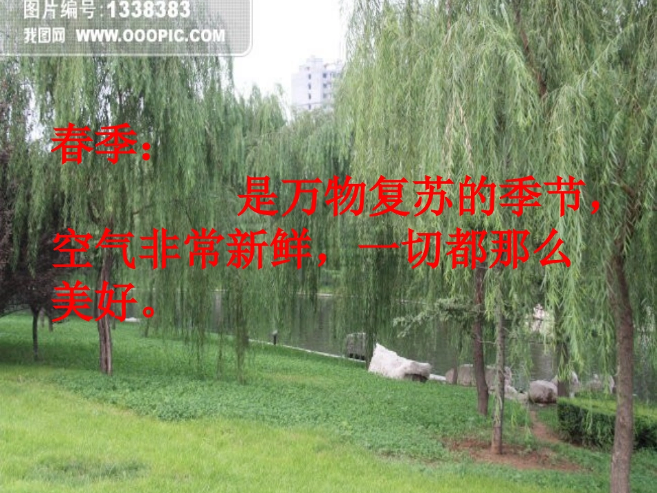苹果丰收（第九册音乐课件）_第3页