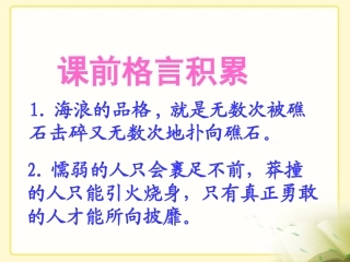 《雨夜奇袭》参考课件