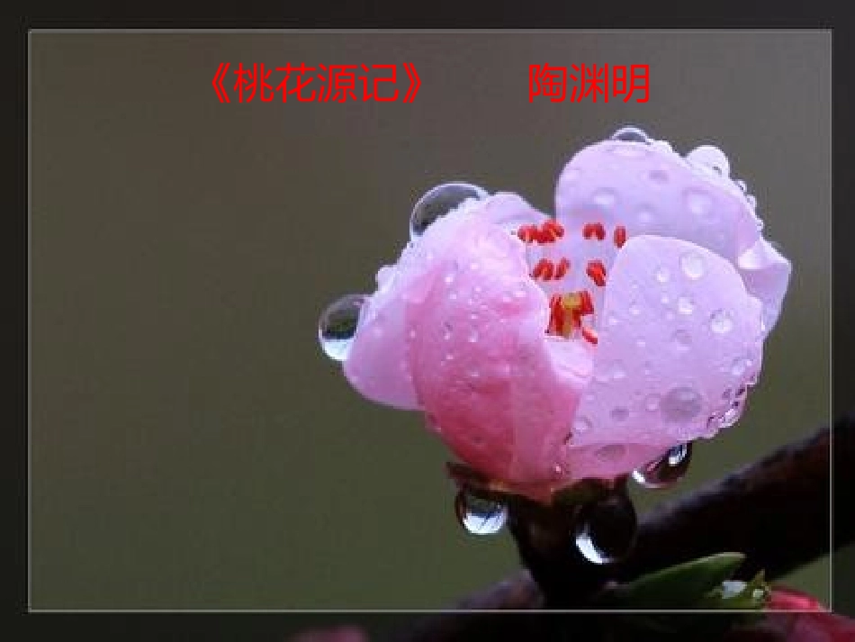 21桃花源记课件2_第2页