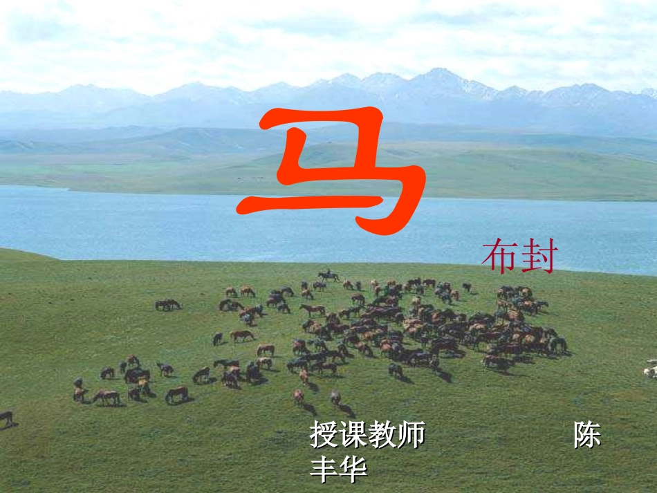 课件《马》2_第3页