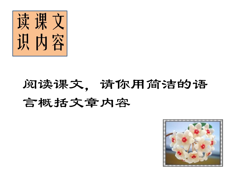 《给每一棵草开花的时间》_第2页