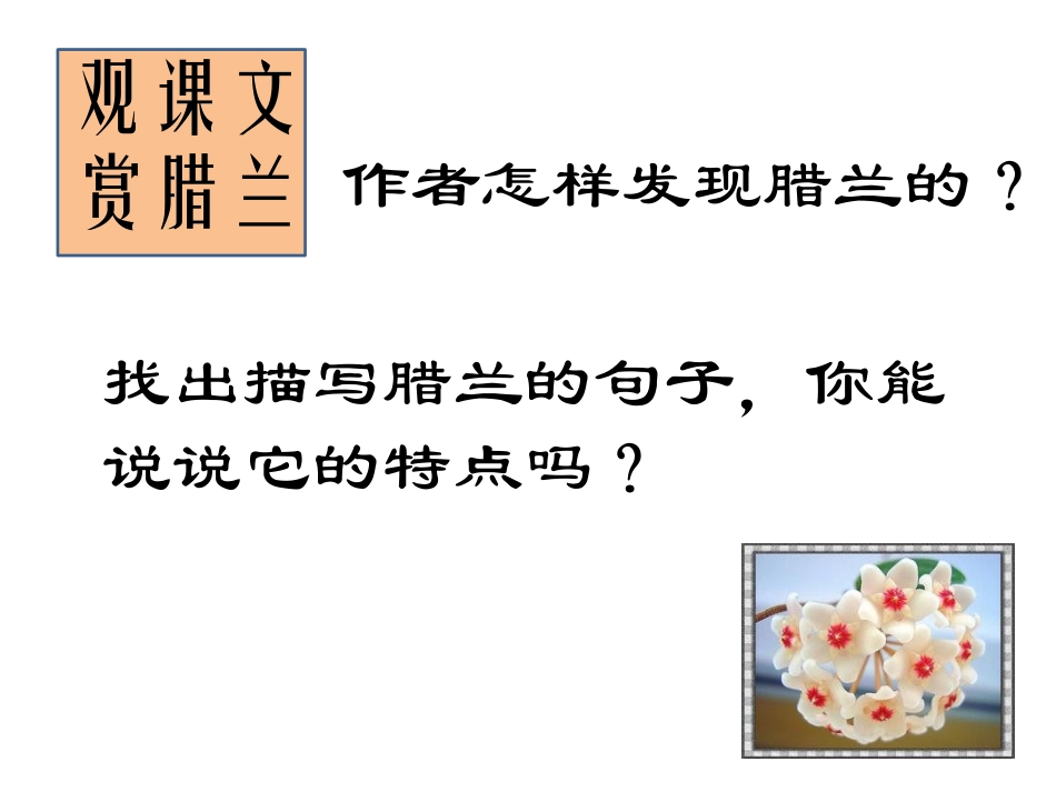 《给每一棵草开花的时间》_第3页