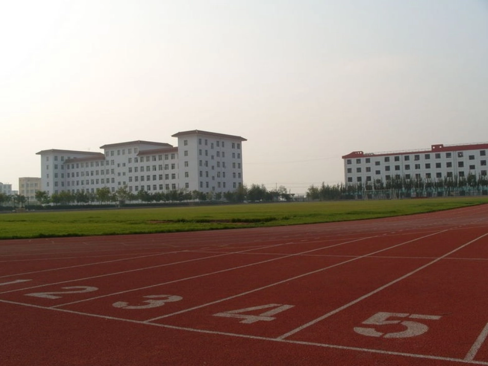 英语写作教学课例_第3页