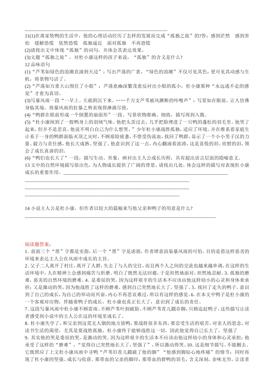 《孤独之旅》习题精选_第2页