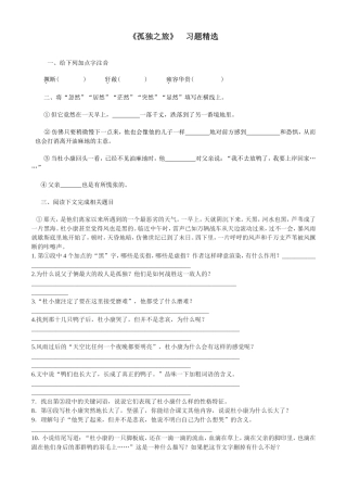 《孤独之旅》习题精选