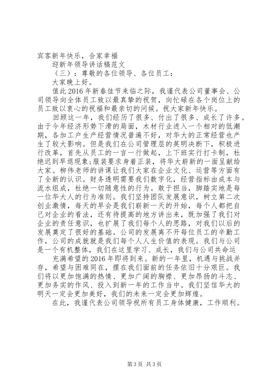 迎新年领导讲话发言稿_第3页