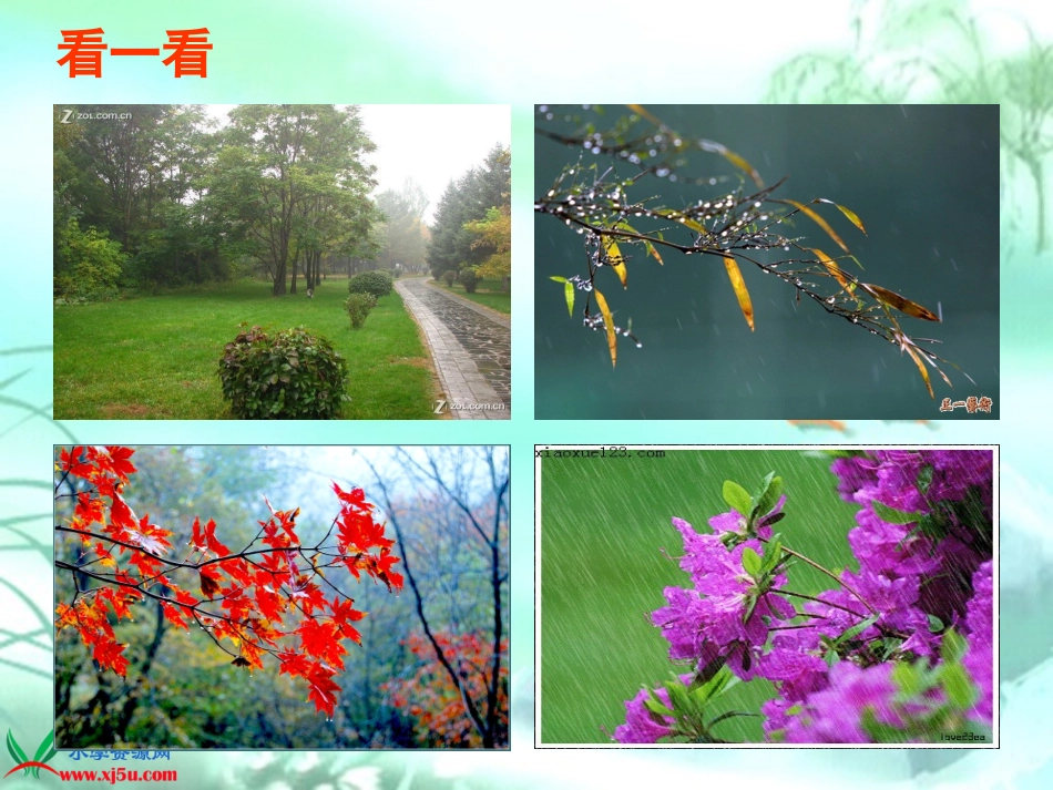 《秋天的雨》参赛课件_第2页