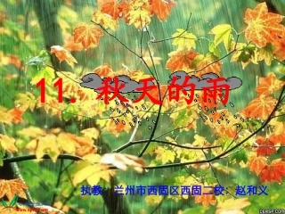 《秋天的雨》参赛课件