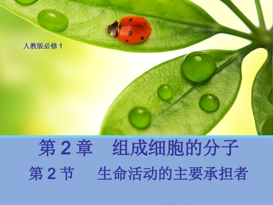 【生物】22生命活动的主要承担者——蛋白质课件2（人教版必修1）_第1页