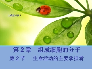 【生物】22生命活动的主要承担者——蛋白质课件2（人教版必修1）