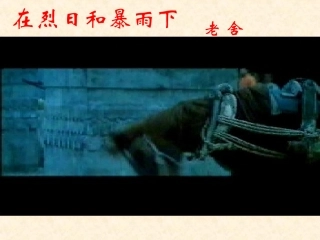 《在烈日和暴雨下》课件[1]